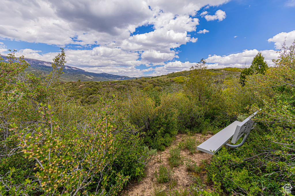 View of mountain view