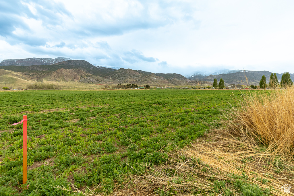 Mountain view featuring a rural view