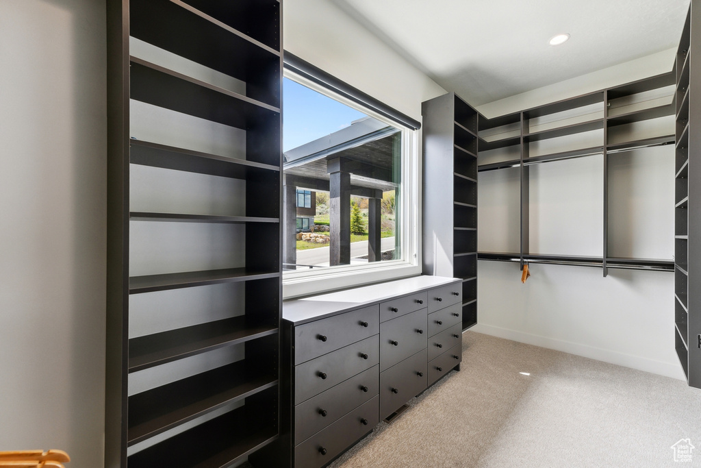 Spacious closet featuring light colored carpet