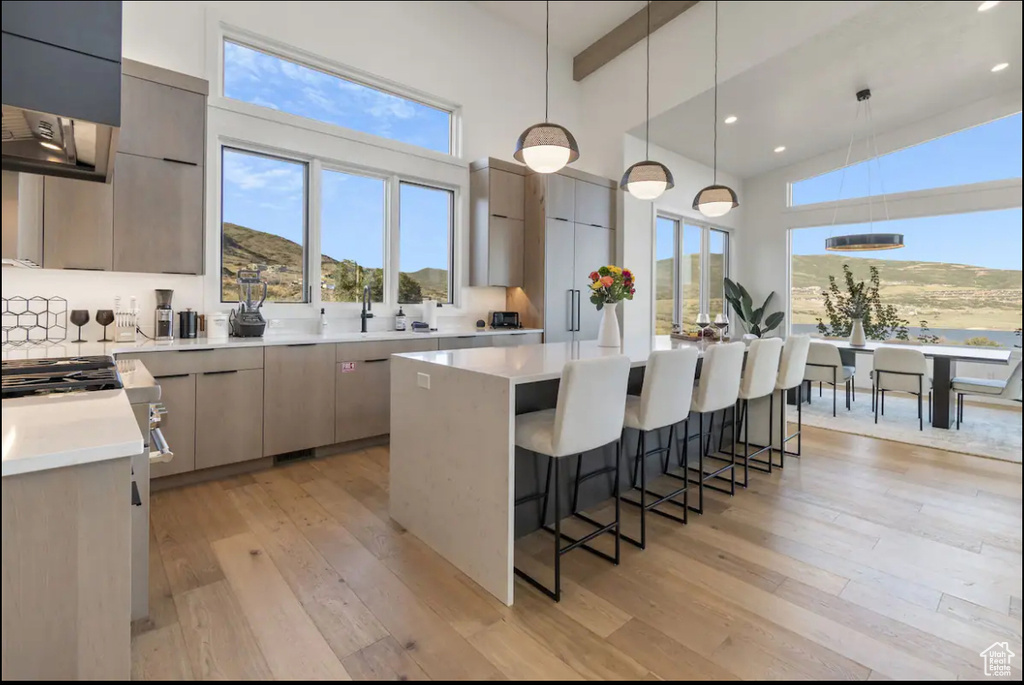 Kitchen with a center island, a healthy amount of sunlight, light hardwood / wood-style flooring, and decorative light fixtures