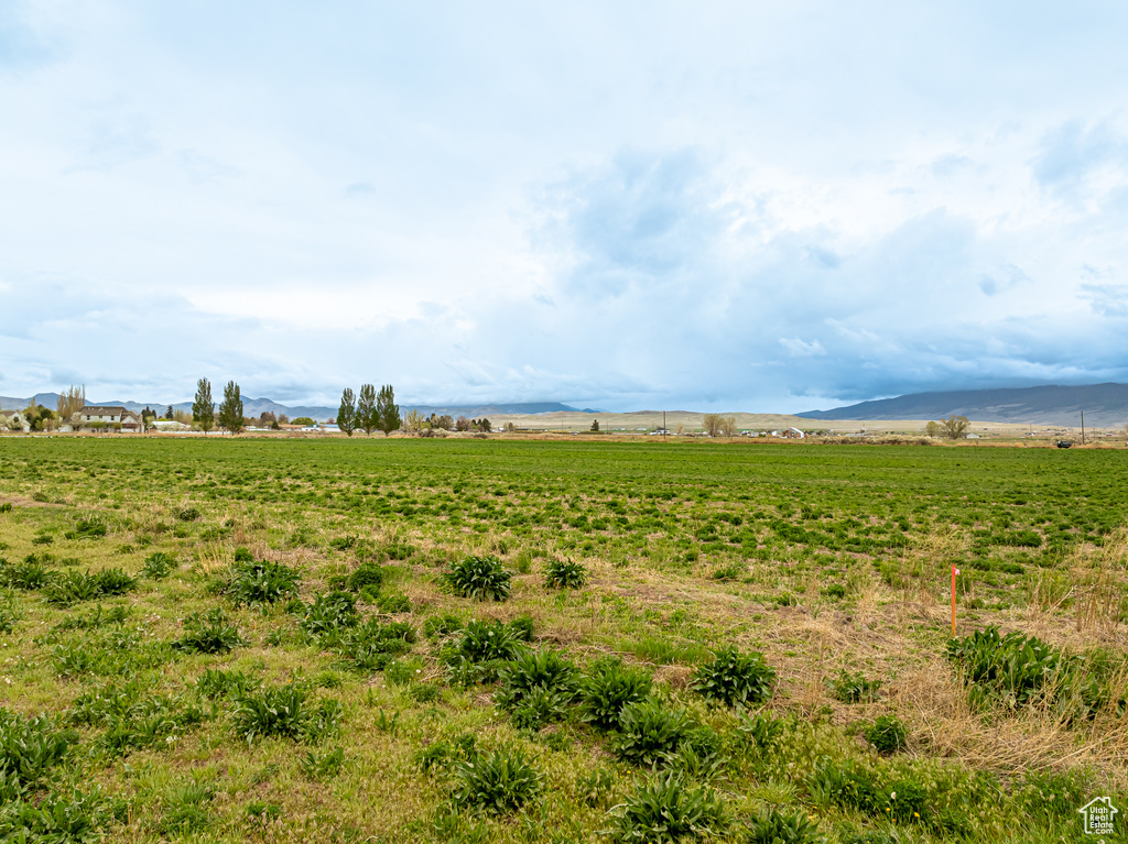 View of mother earth\'s splendor with a rural view