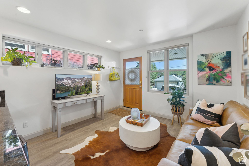 Living room featuring light hardwood / wood-style floors