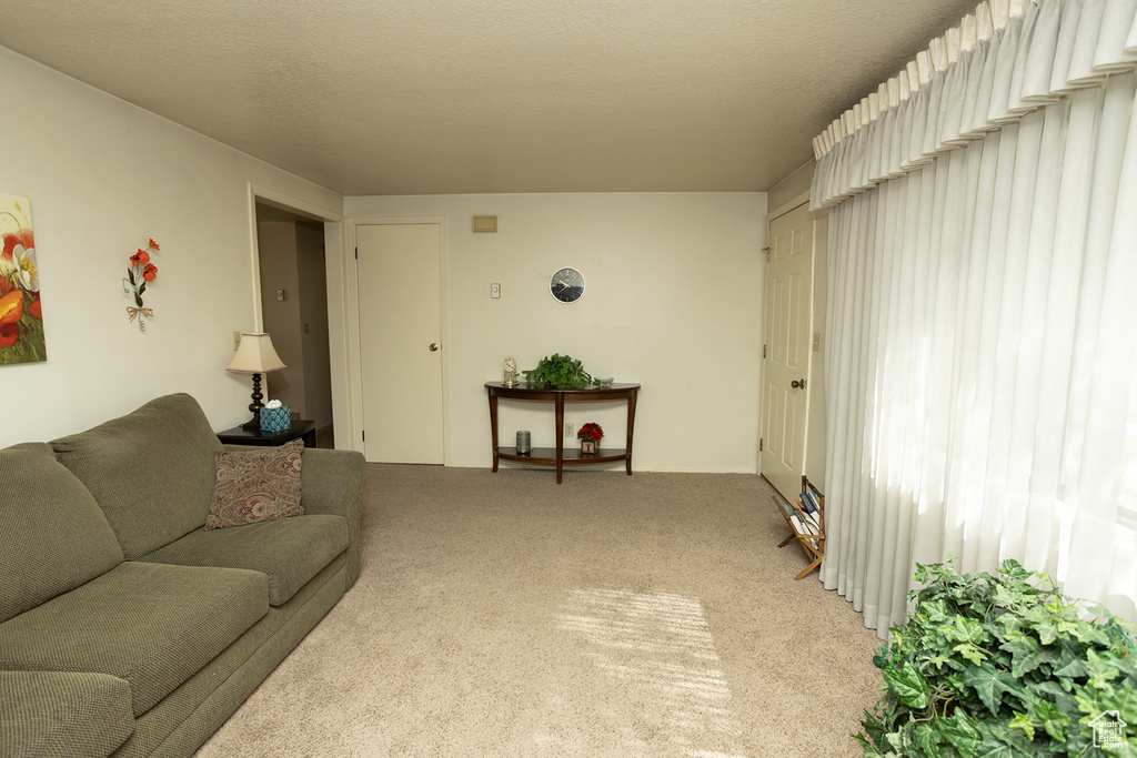 Living room featuring carpet flooring