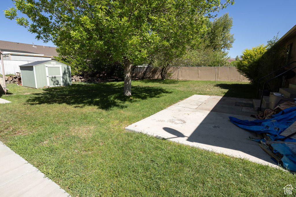 View of yard featuring a patio area and a shed