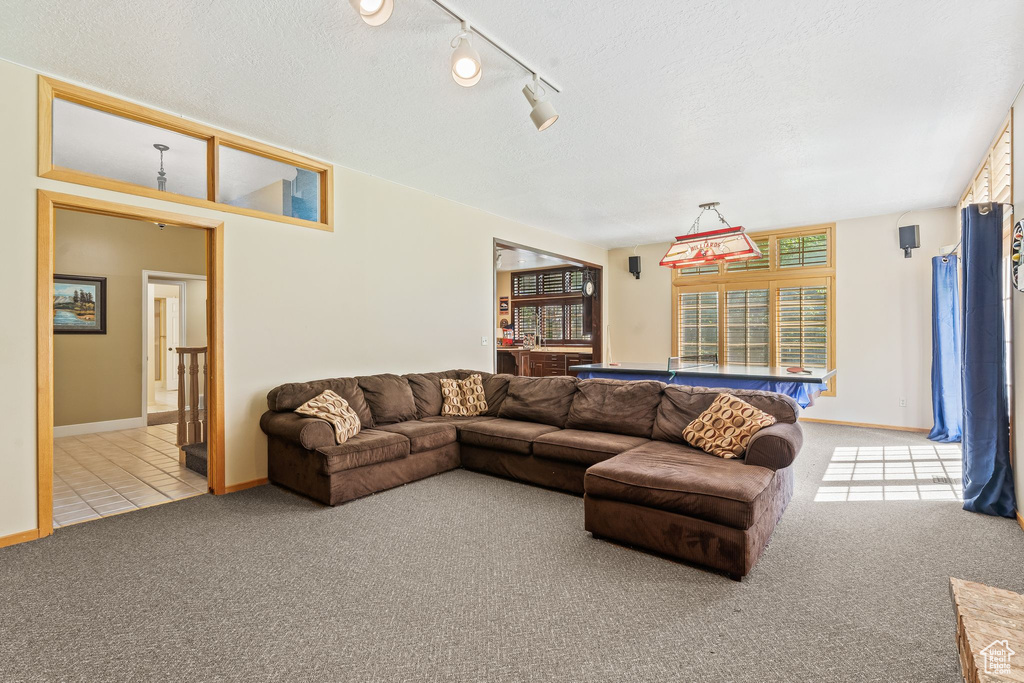 Carpeted living room with a textured ceiling and rail lighting