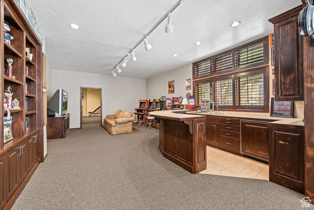 Bar with dark brown cabinetry, light colored carpet, track lighting, sink, and a textured ceiling