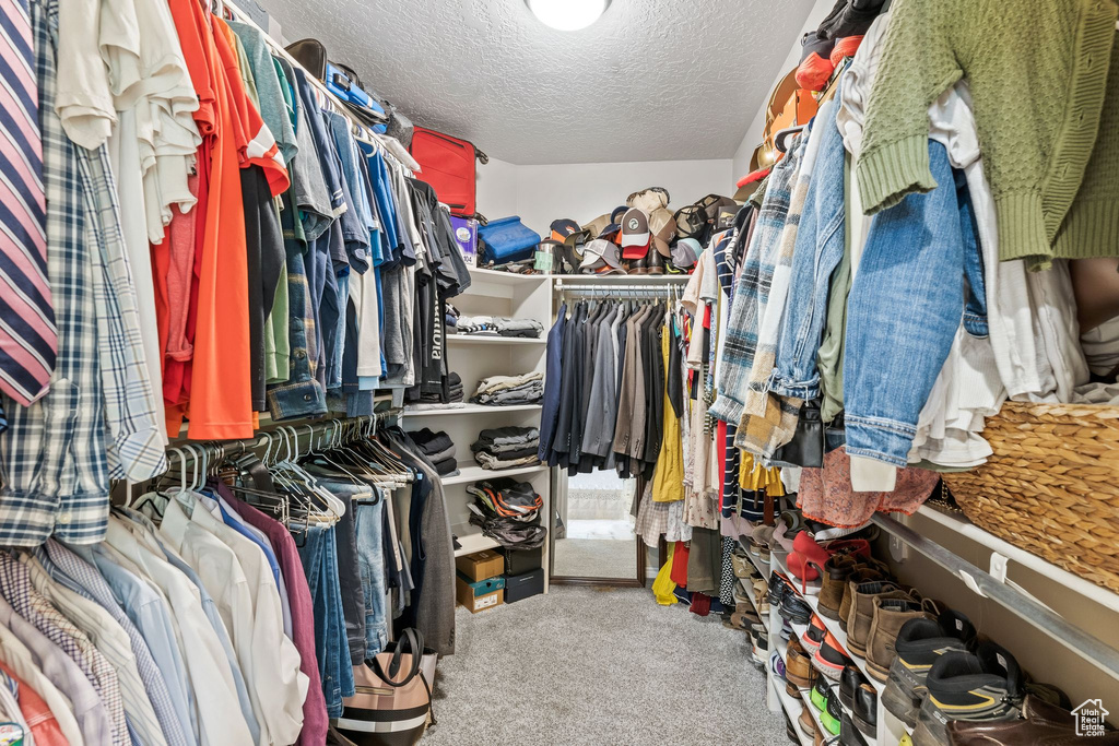 Spacious closet with carpet flooring