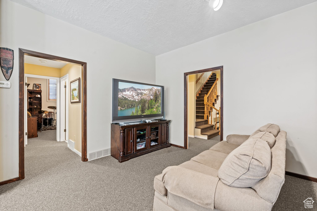 Carpeted living room with a textured ceiling