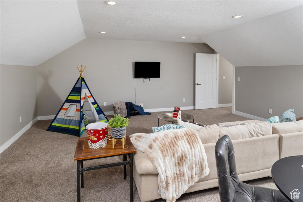 Carpeted living room featuring a textured ceiling and lofted ceiling