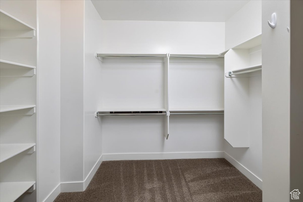 Spacious closet featuring carpet floors