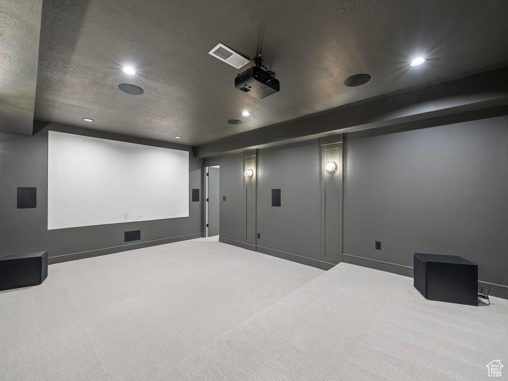 Cinema featuring carpet flooring and a textured ceiling