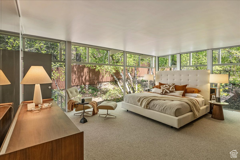 Carpeted bedroom featuring multiple windows