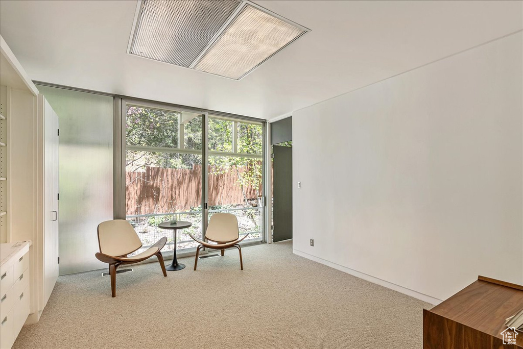 Unfurnished room with light carpet