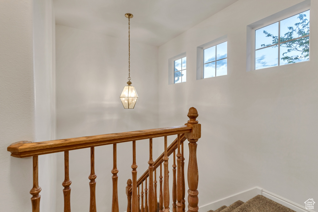 Staircase with carpet