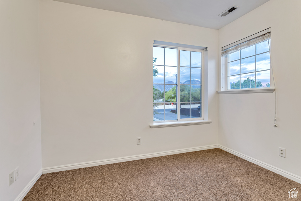 Unfurnished room featuring a wealth of natural light and carpet floors