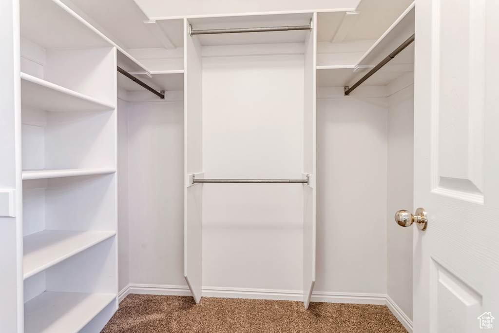 Spacious closet with carpet