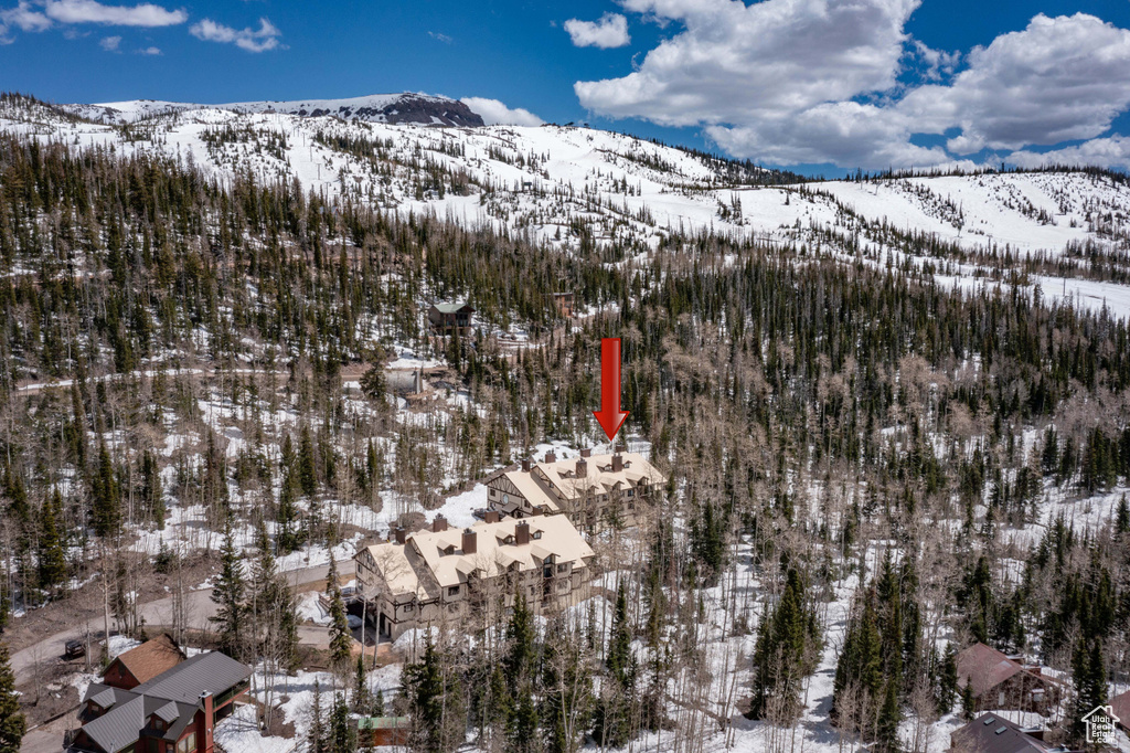 Snowy aerial view featuring a mountain view