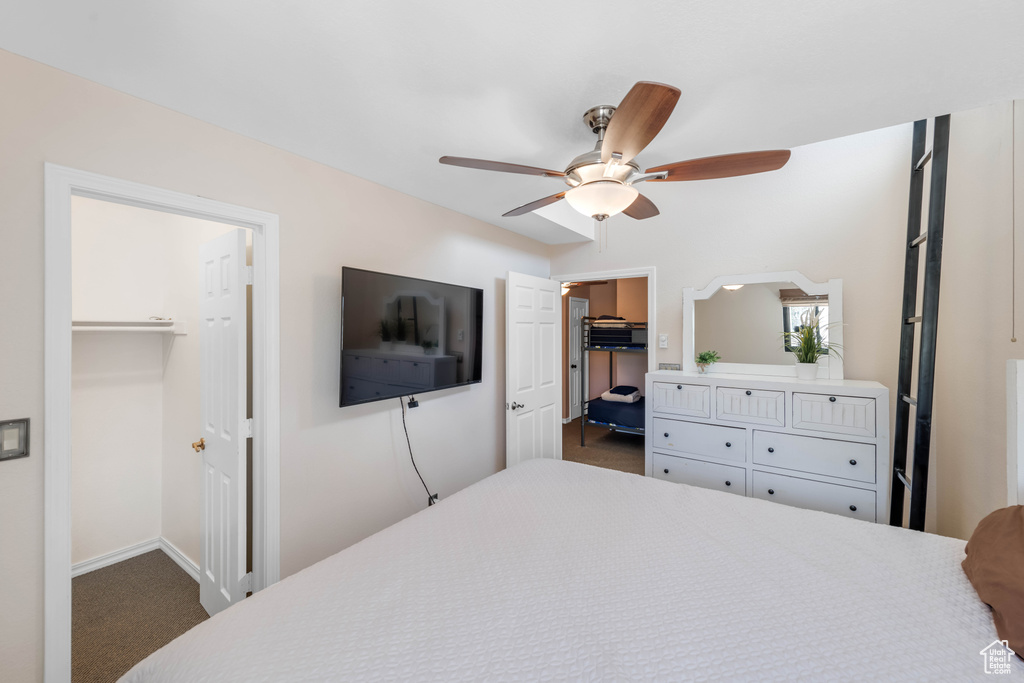 Bedroom featuring dark colored carpet, a walk in closet, a closet, and ceiling fan