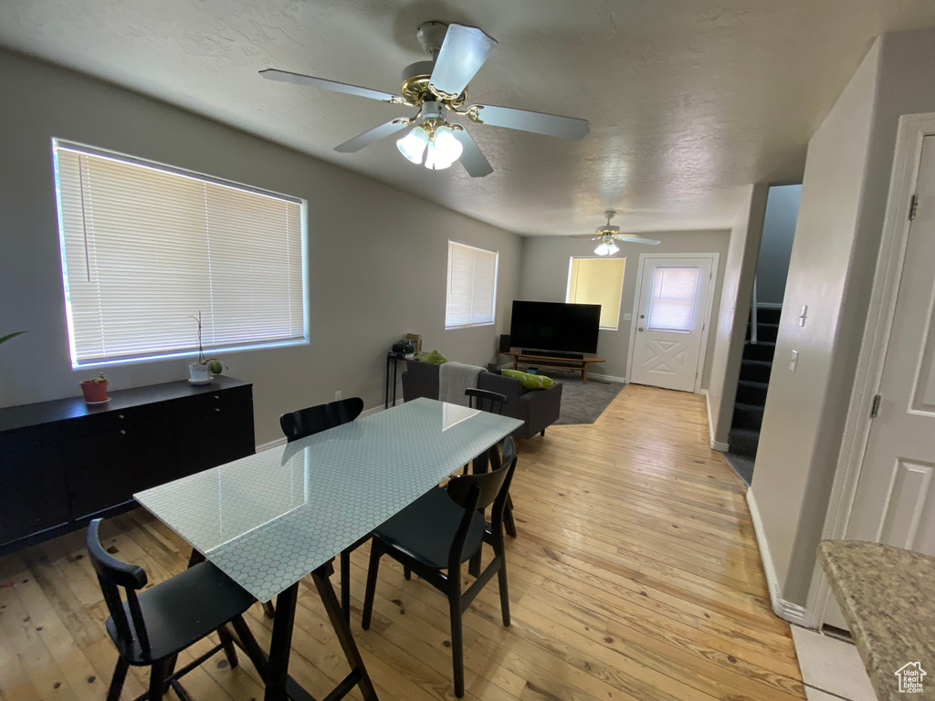 Dining room featuring ceiling fan and light hardwood / wood-style flooring