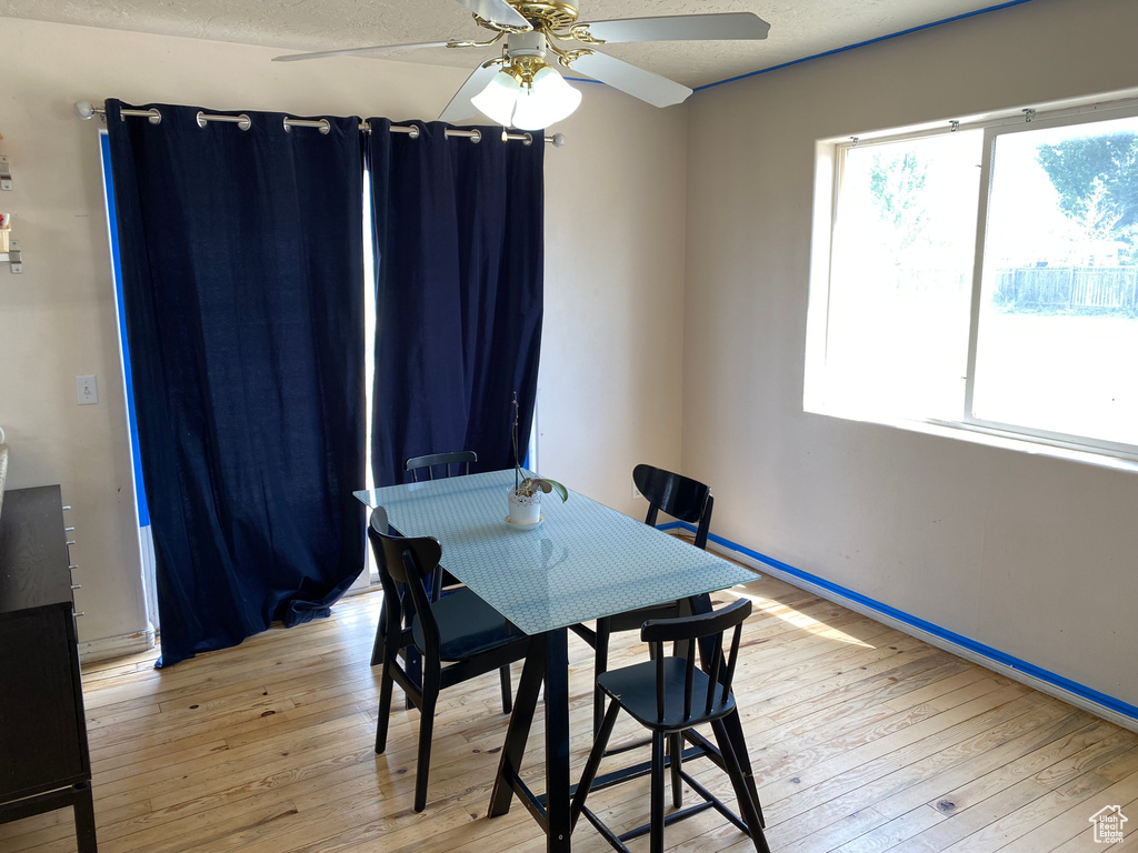 Dining room featuring ceiling fan and light hardwood / wood-style flooring