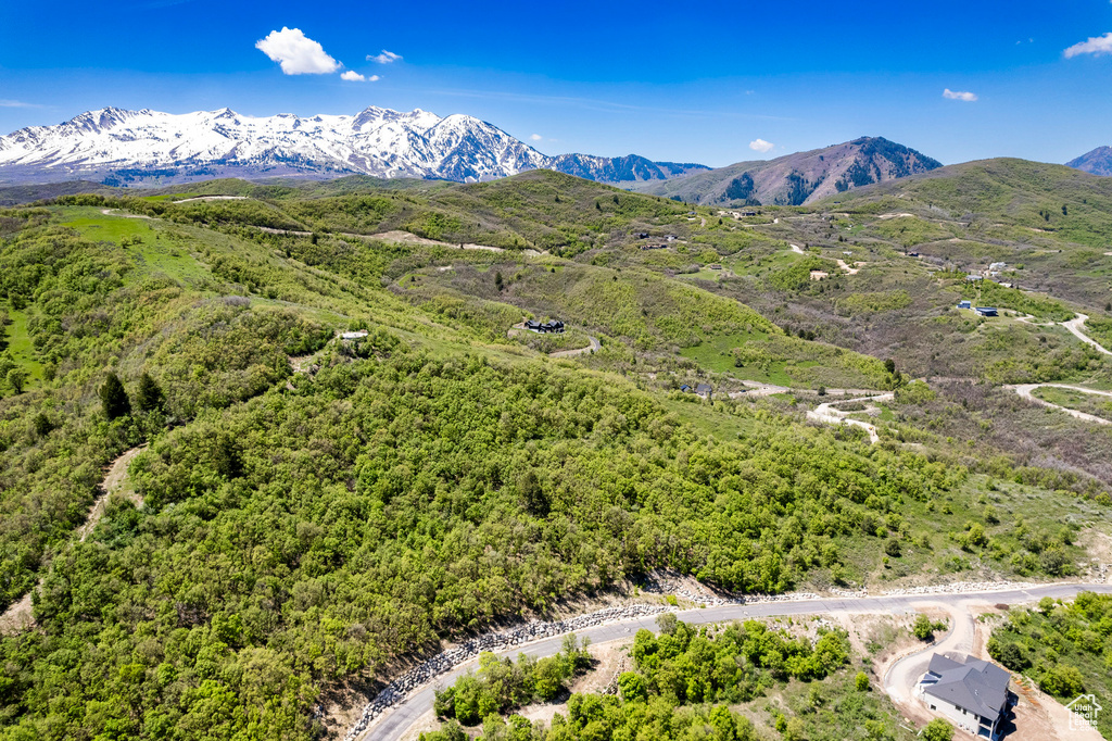 Aerial view featuring a mountain view