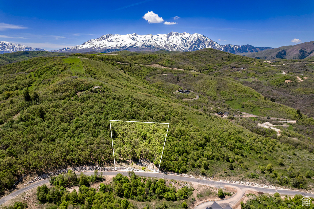 Drone / aerial view with a mountain view