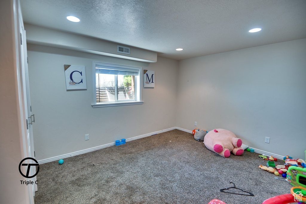 Rec room with carpet flooring and a textured ceiling