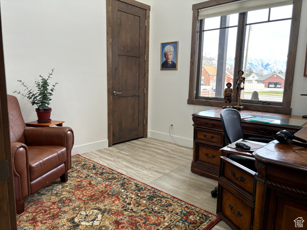 Office featuring light wood-type flooring