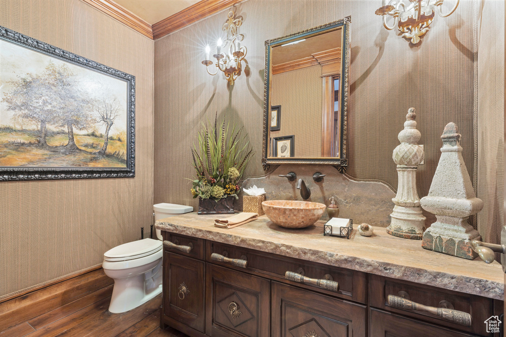 Bathroom featuring ornamental molding, vanity, toilet, and hardwood / wood-style floors