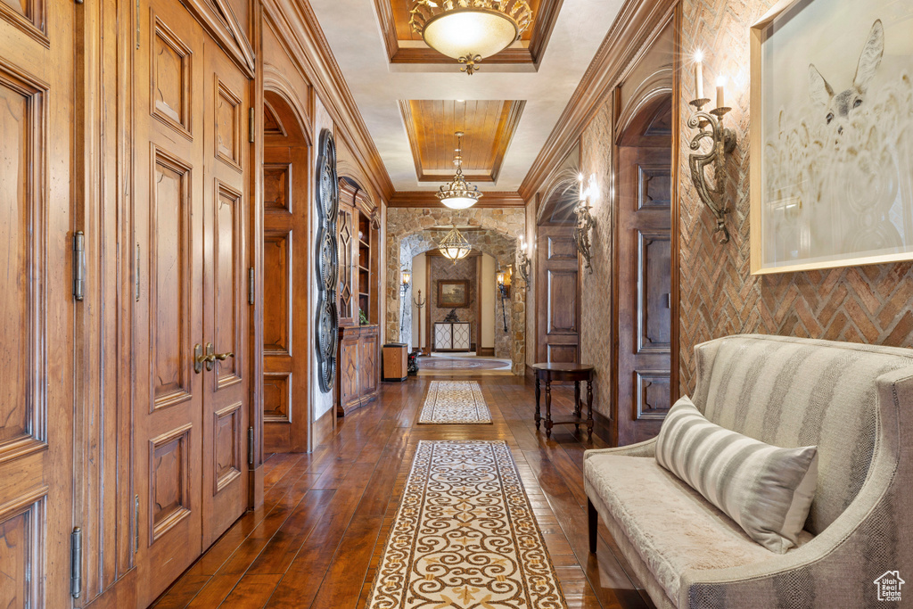 Hall with a raised ceiling, dark hardwood / wood-style flooring, and ornamental molding