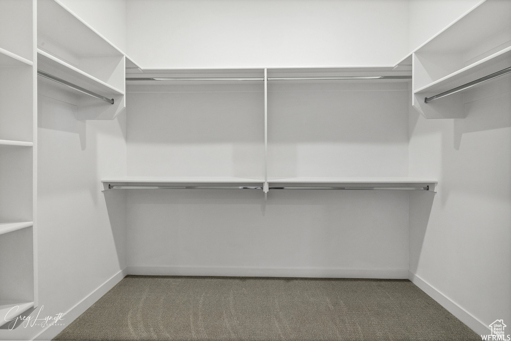 Walk in closet with carpet flooring