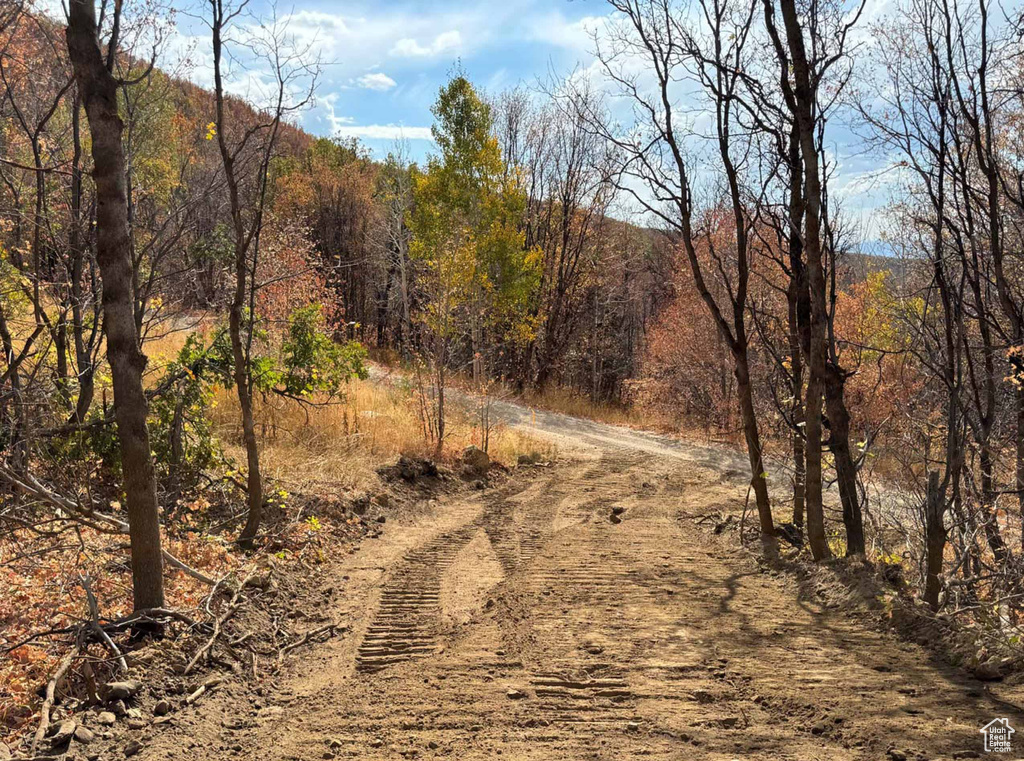 View of road