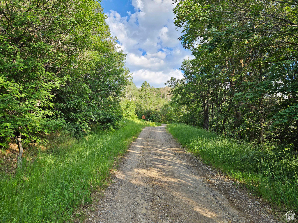 View of road