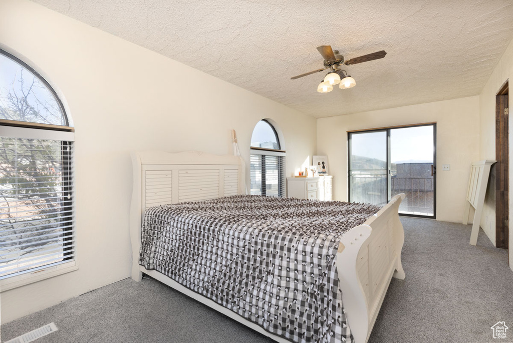 Carpeted bedroom with ceiling fan, multiple windows, and a textured ceiling