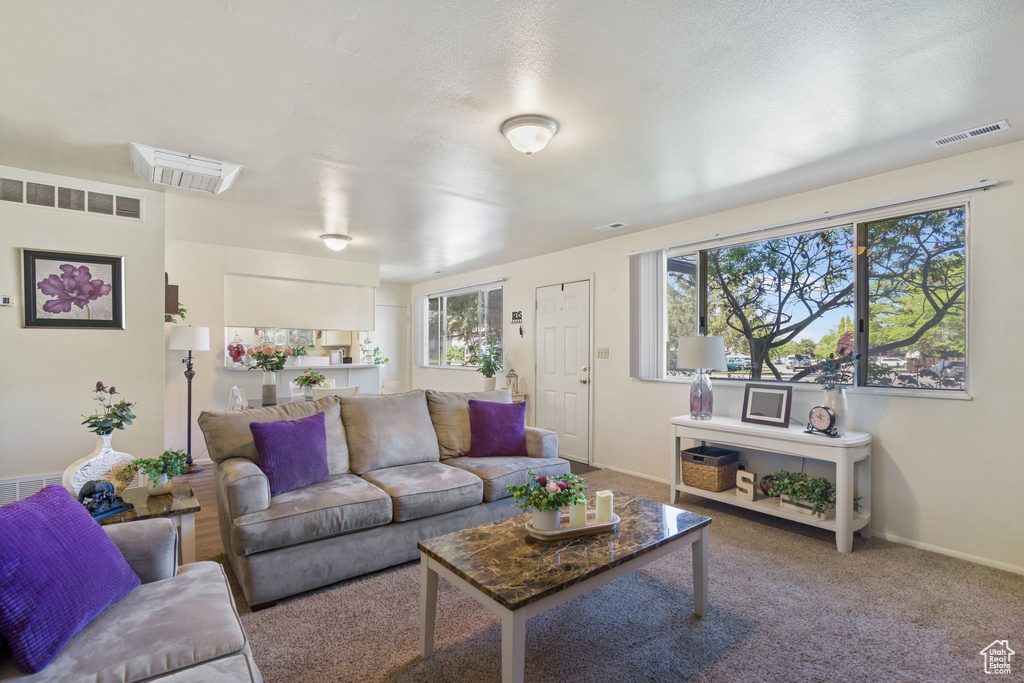 Living room with carpet floors