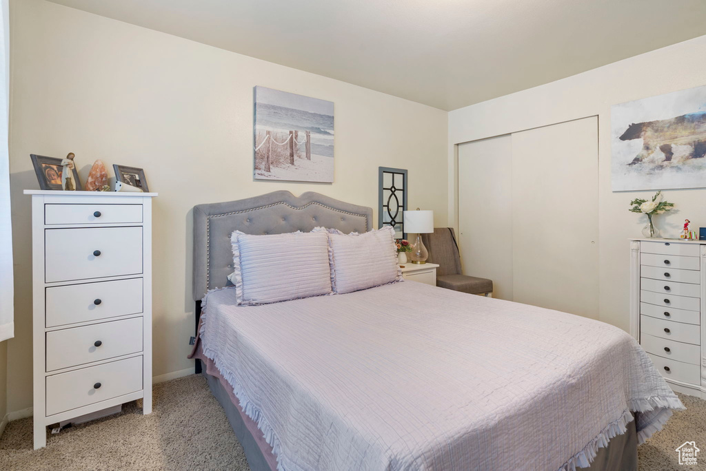 Bedroom with a closet and carpet floors