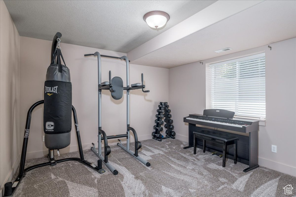 Workout area featuring carpet