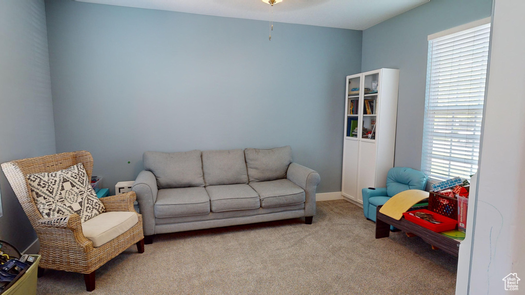 Carpeted living room featuring a wealth of natural light