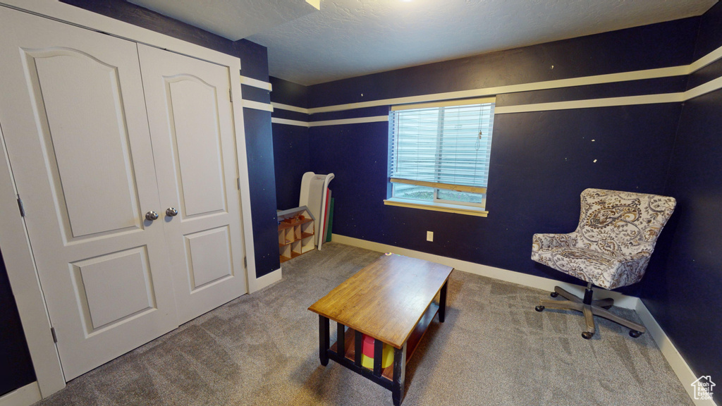 Living area with carpet floors