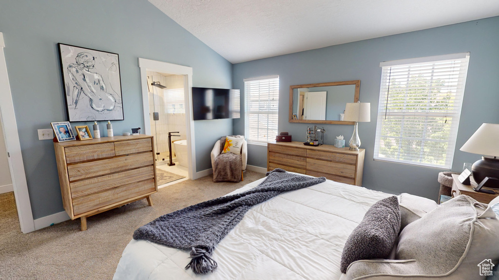 Carpeted bedroom with ensuite bathroom, multiple windows, and lofted ceiling