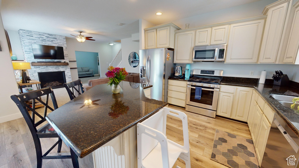 Kitchen featuring ceiling fan, light hardwood / wood-style flooring, a fireplace, and appliances with stainless steel finishes