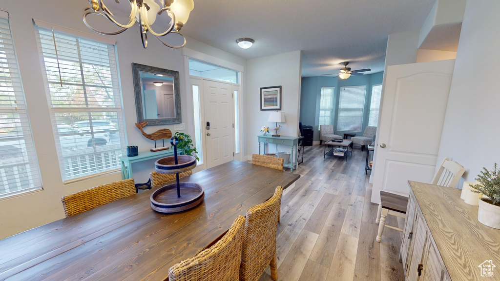 Dining area with light hardwood / wood-style floors, a healthy amount of sunlight, and ceiling fan with notable chandelier