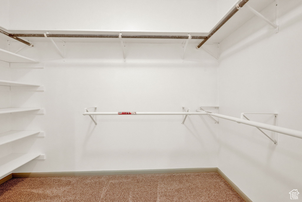 Spacious closet featuring carpet flooring