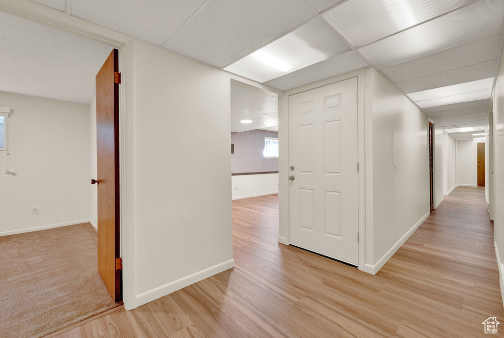 Hall with light hardwood / wood-style flooring and a drop ceiling