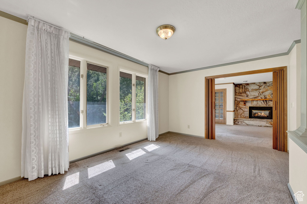 Carpeted empty room featuring ornamental molding and a fireplace