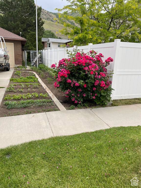 View of yard with a mountain view