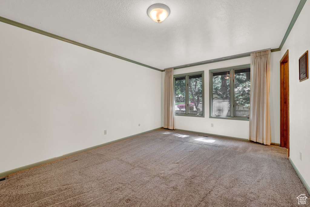 Carpeted empty room featuring crown molding