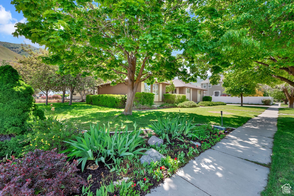 Exterior space with a front lawn