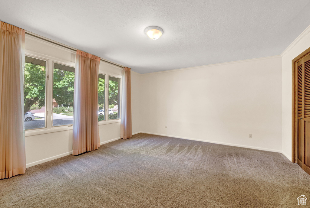 Empty room featuring carpet and ornamental molding