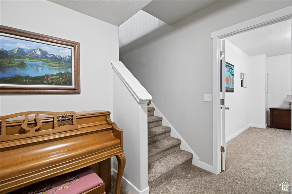 Stairs featuring carpet floors